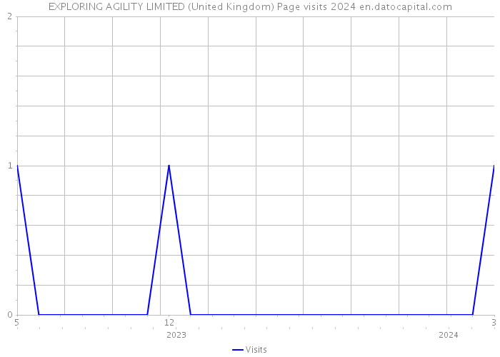 EXPLORING AGILITY LIMITED (United Kingdom) Page visits 2024 