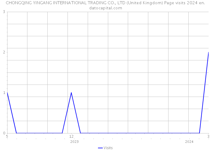 CHONGQING YINGANG INTERNATIONAL TRADING CO., LTD (United Kingdom) Page visits 2024 