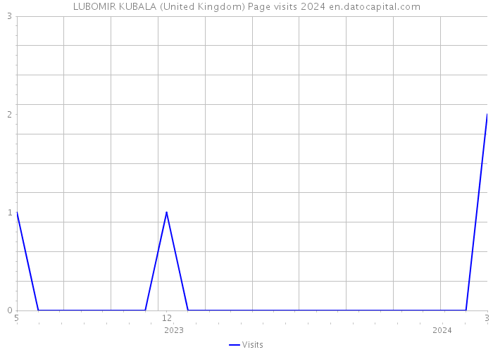 LUBOMIR KUBALA (United Kingdom) Page visits 2024 