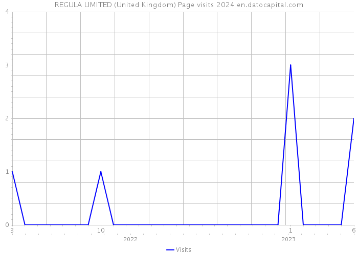 REGULA LIMITED (United Kingdom) Page visits 2024 