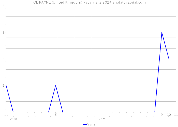 JOE PAYNE (United Kingdom) Page visits 2024 