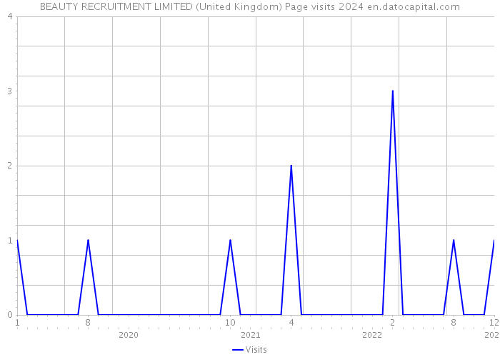 BEAUTY RECRUITMENT LIMITED (United Kingdom) Page visits 2024 