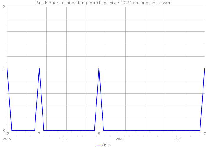 Pallab Rudra (United Kingdom) Page visits 2024 