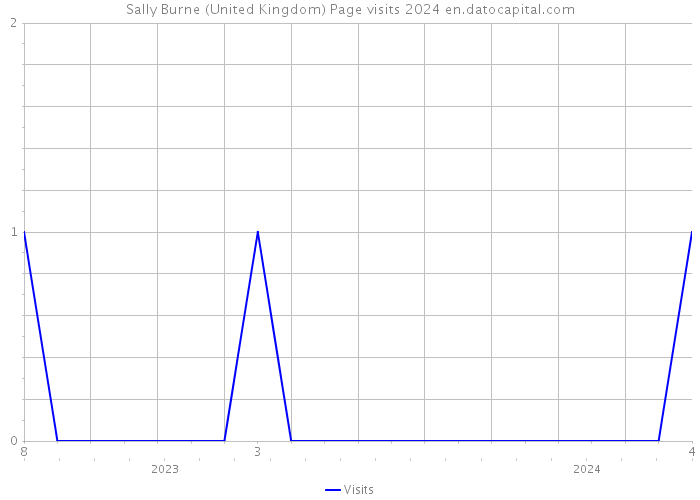 Sally Burne (United Kingdom) Page visits 2024 