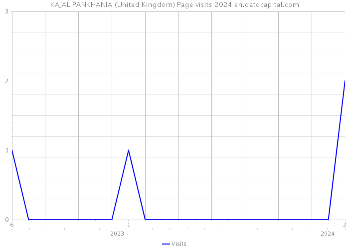 KAJAL PANKHANIA (United Kingdom) Page visits 2024 