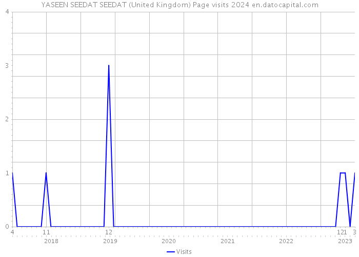 YASEEN SEEDAT SEEDAT (United Kingdom) Page visits 2024 