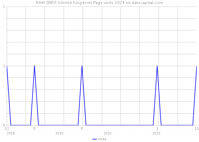 RAM ZEEVI (United Kingdom) Page visits 2024 