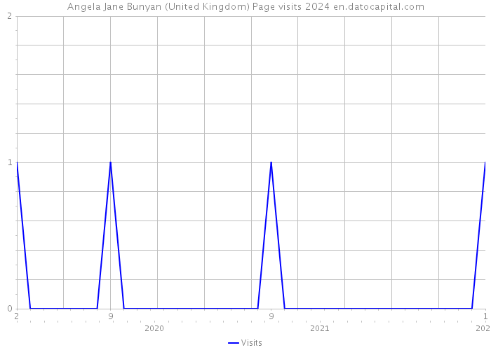 Angela Jane Bunyan (United Kingdom) Page visits 2024 