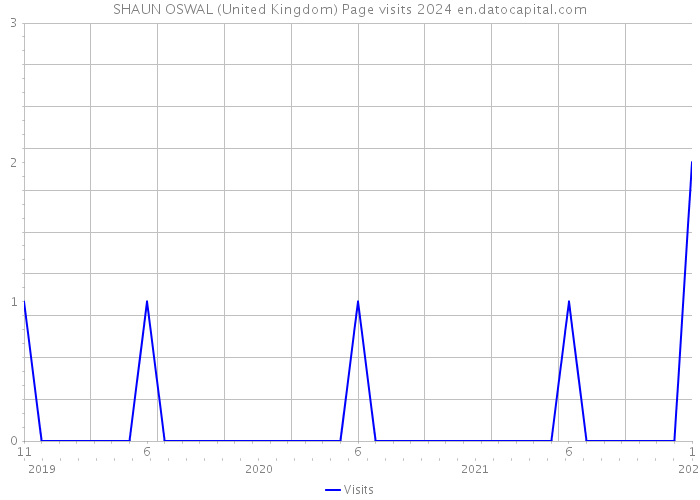 SHAUN OSWAL (United Kingdom) Page visits 2024 