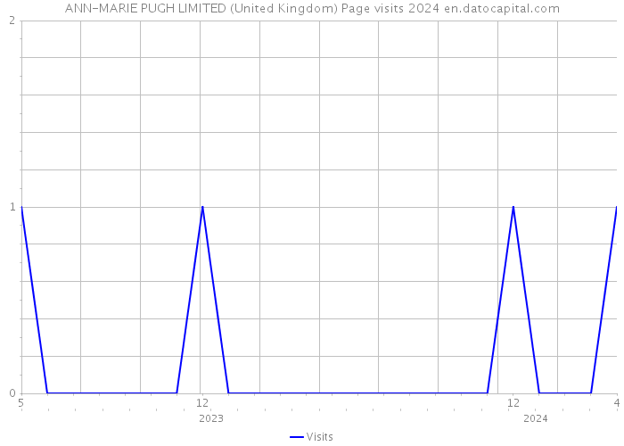 ANN-MARIE PUGH LIMITED (United Kingdom) Page visits 2024 