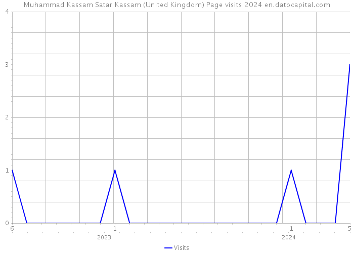 Muhammad Kassam Satar Kassam (United Kingdom) Page visits 2024 