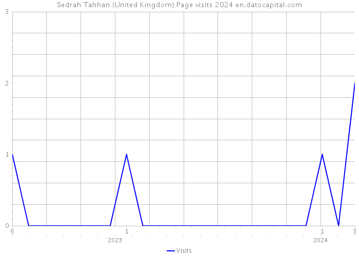 Sedrah Tahhan (United Kingdom) Page visits 2024 