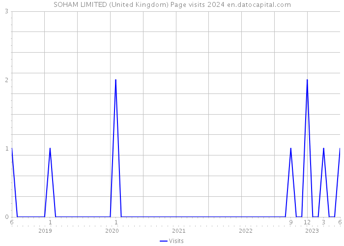 SOHAM LIMITED (United Kingdom) Page visits 2024 