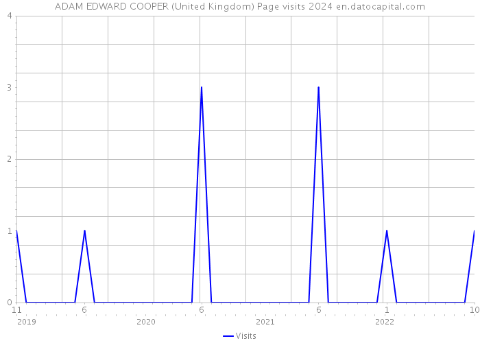 ADAM EDWARD COOPER (United Kingdom) Page visits 2024 