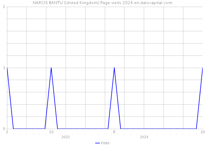 NARCIS BANTU (United Kingdom) Page visits 2024 
