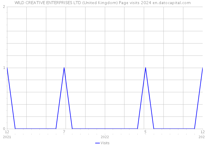 WILD CREATIVE ENTERPRISES LTD (United Kingdom) Page visits 2024 
