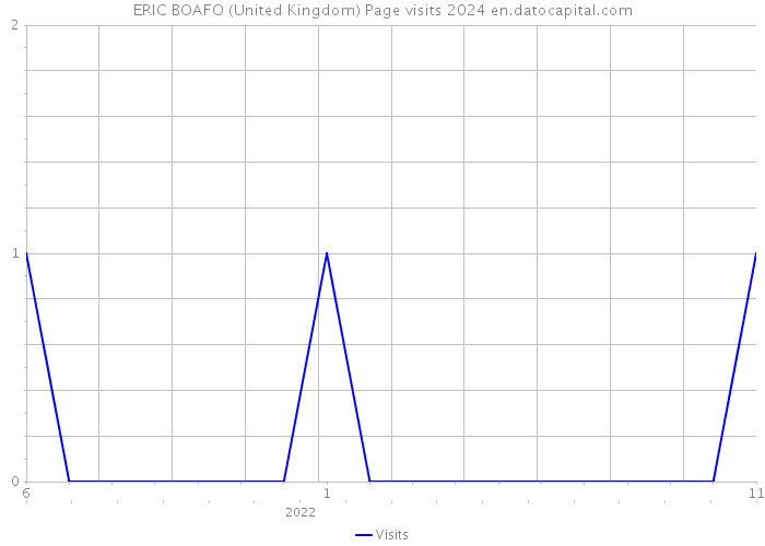 ERIC BOAFO (United Kingdom) Page visits 2024 