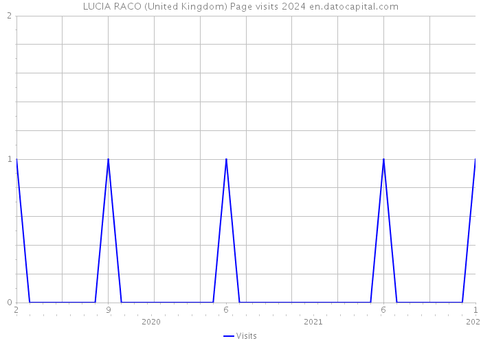 LUCIA RACO (United Kingdom) Page visits 2024 