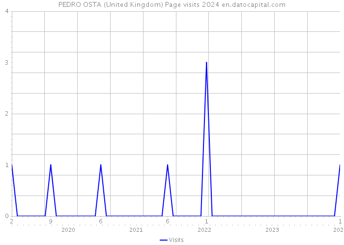 PEDRO OSTA (United Kingdom) Page visits 2024 