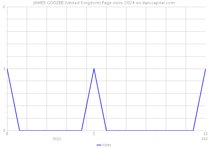 JAMES GOOZEE (United Kingdom) Page visits 2024 