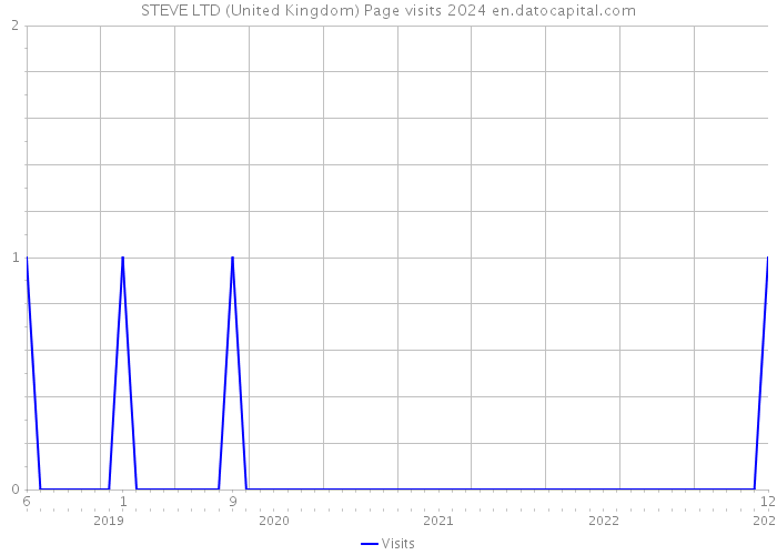 STEVE LTD (United Kingdom) Page visits 2024 