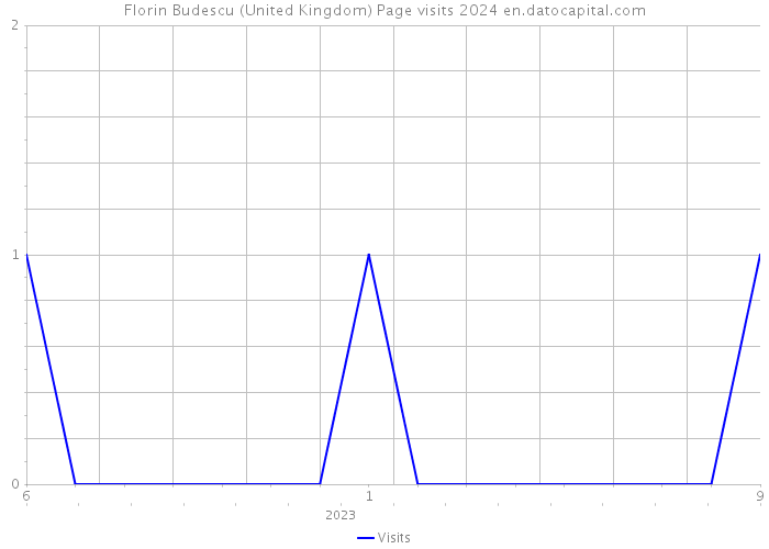 Florin Budescu (United Kingdom) Page visits 2024 