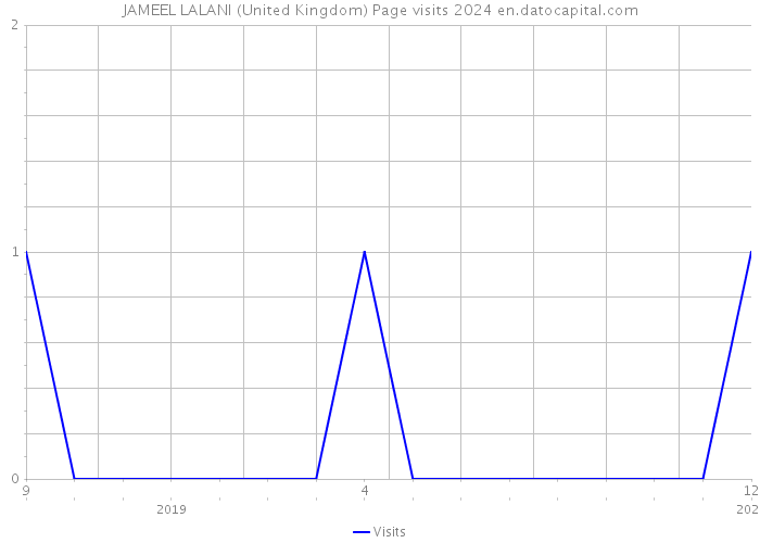 JAMEEL LALANI (United Kingdom) Page visits 2024 