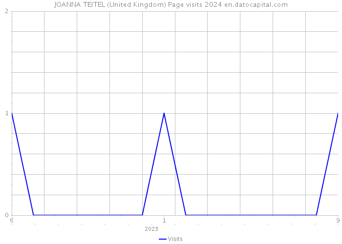 JOANNA TEITEL (United Kingdom) Page visits 2024 