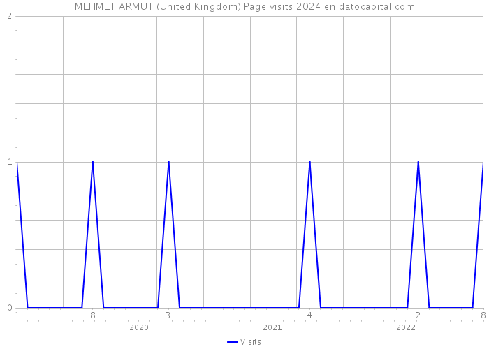 MEHMET ARMUT (United Kingdom) Page visits 2024 