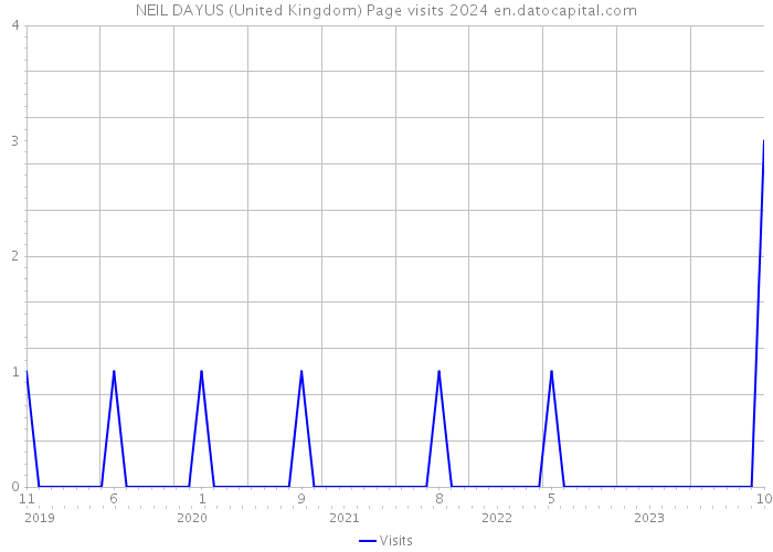 NEIL DAYUS (United Kingdom) Page visits 2024 