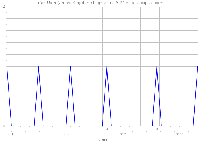 Irfan Udin (United Kingdom) Page visits 2024 