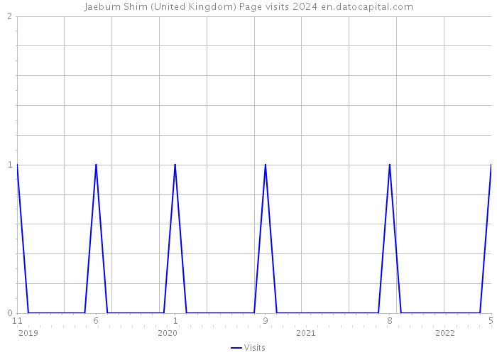 Jaebum Shim (United Kingdom) Page visits 2024 