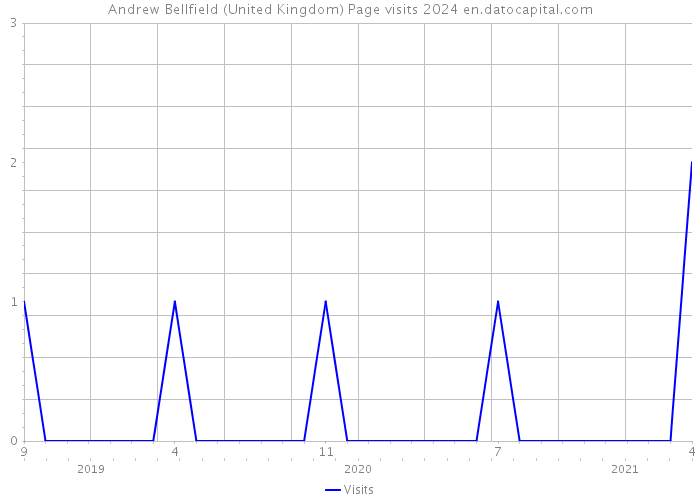 Andrew Bellfield (United Kingdom) Page visits 2024 