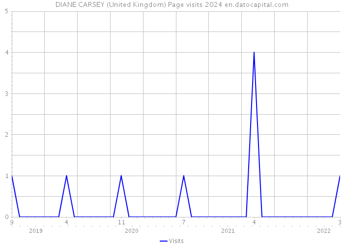 DIANE CARSEY (United Kingdom) Page visits 2024 