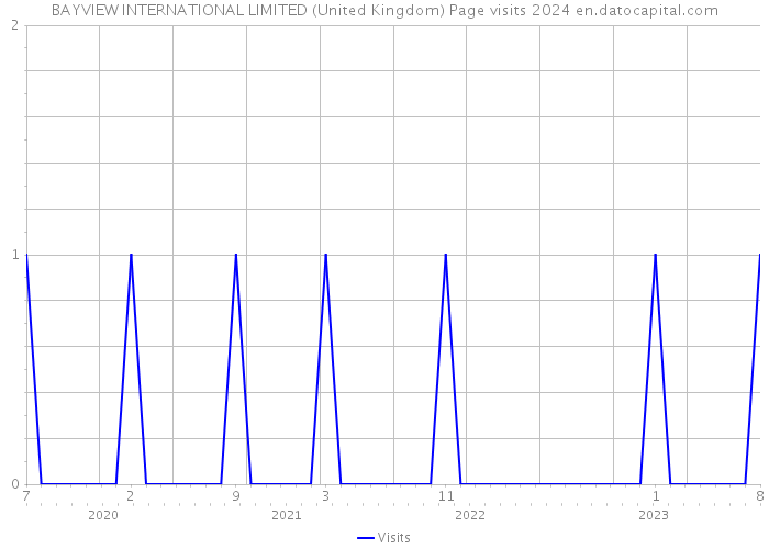 BAYVIEW INTERNATIONAL LIMITED (United Kingdom) Page visits 2024 