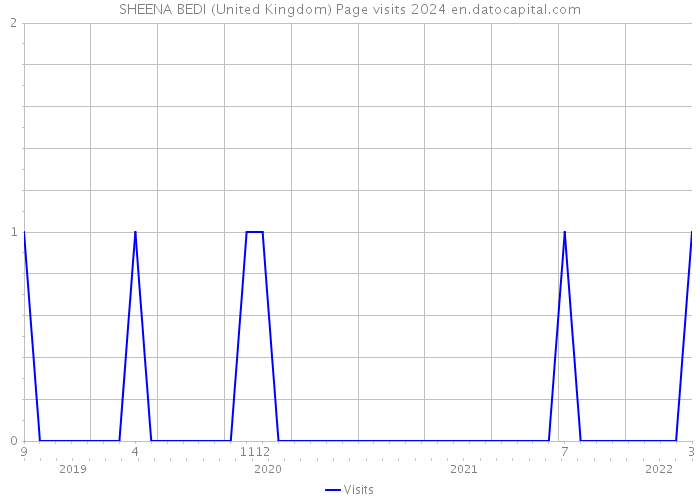 SHEENA BEDI (United Kingdom) Page visits 2024 