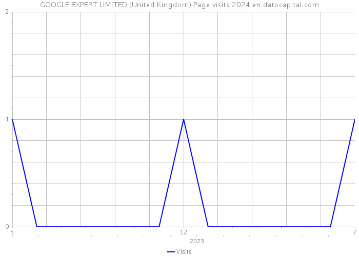 GOOGLE EXPERT LIMITED (United Kingdom) Page visits 2024 