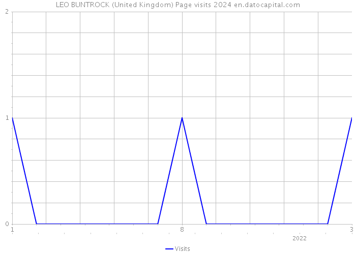 LEO BUNTROCK (United Kingdom) Page visits 2024 