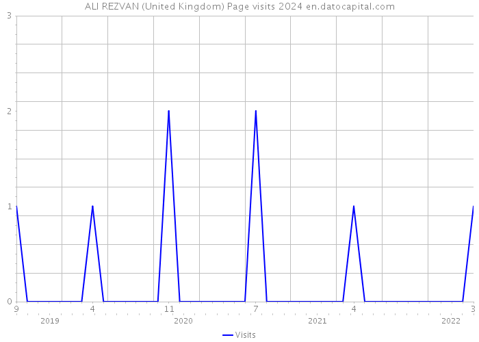 ALI REZVAN (United Kingdom) Page visits 2024 