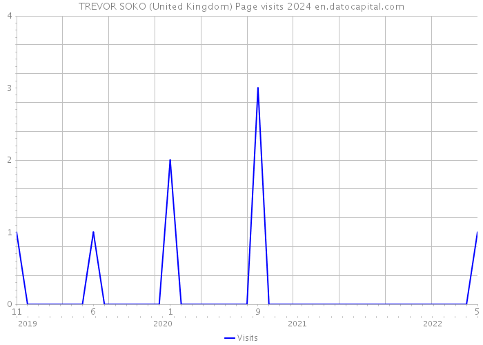 TREVOR SOKO (United Kingdom) Page visits 2024 