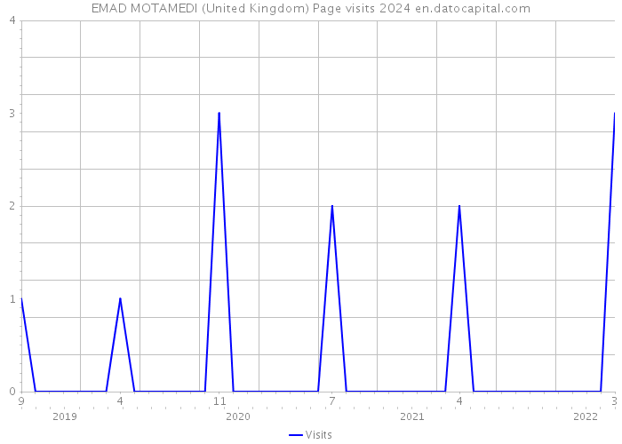 EMAD MOTAMEDI (United Kingdom) Page visits 2024 