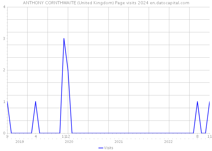 ANTHONY CORNTHWAITE (United Kingdom) Page visits 2024 