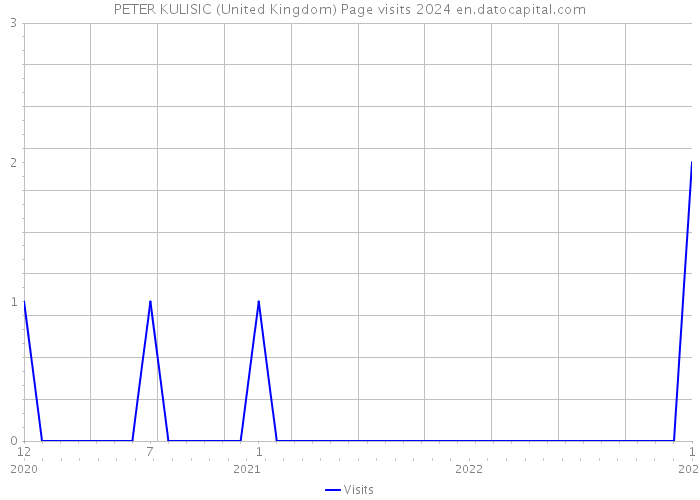 PETER KULISIC (United Kingdom) Page visits 2024 