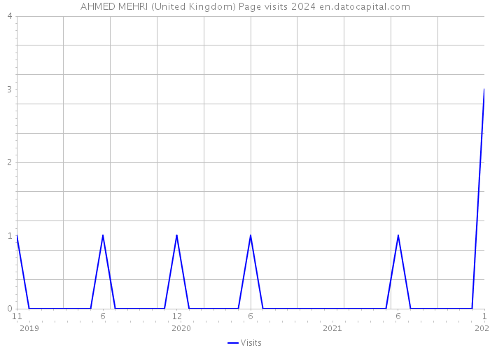 AHMED MEHRI (United Kingdom) Page visits 2024 