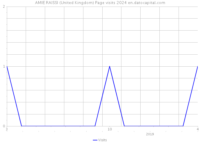 AMIE RAISSI (United Kingdom) Page visits 2024 