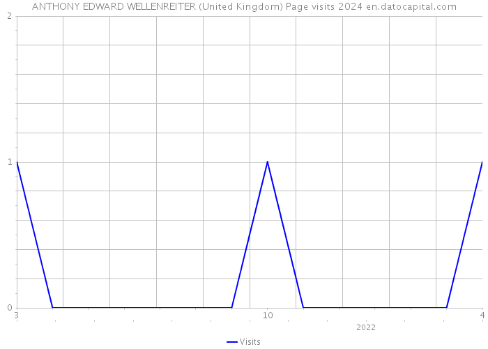 ANTHONY EDWARD WELLENREITER (United Kingdom) Page visits 2024 