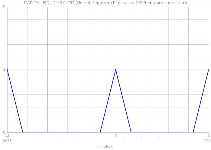 CAPITAL FIDUCIARY LTD (United Kingdom) Page visits 2024 
