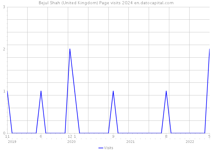 Bejul Shah (United Kingdom) Page visits 2024 