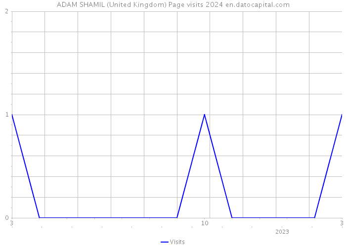 ADAM SHAMIL (United Kingdom) Page visits 2024 