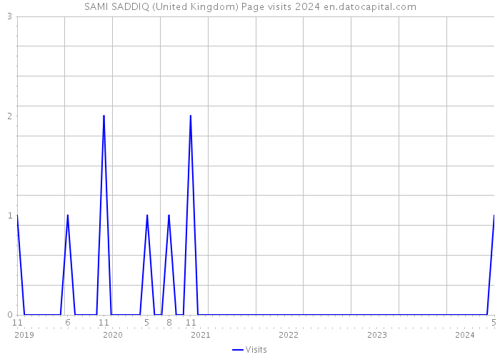SAMI SADDIQ (United Kingdom) Page visits 2024 